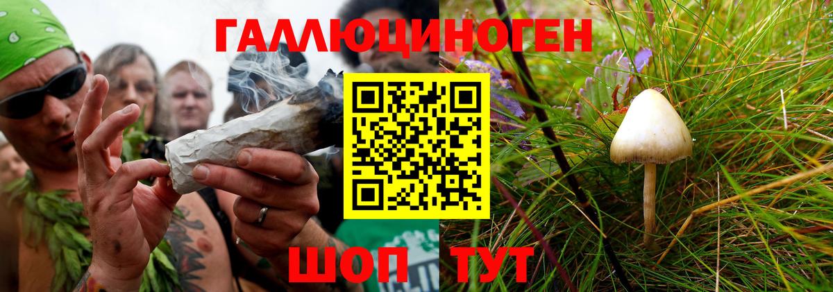 Галлюциногенные грибы Magic Shrooms Ахтубинск
